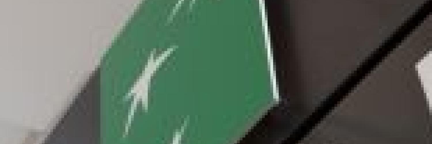 Az Arval története Az Arval története
